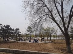 -绿堤公园