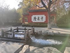 -百脉泉景区