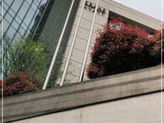 -CASA Grande酒漾·西餐及酒吧(长沙君悦酒店)
