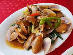 豉汁炒花甲-蛇口康乐快餐鱼仔档(翠苑小区店)