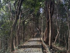 -龙坞茶村