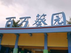 -百万葵园