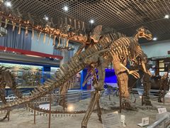 -国家自然博物馆