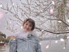 -西湖天地