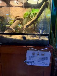 -酷嗒动物文化乐园(cutezoo西溪乐天城店)