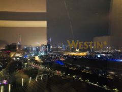 -广交会威斯汀酒店