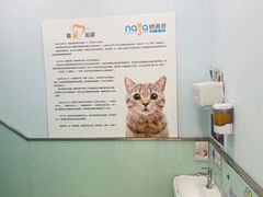 -纳吉亚猫专科动物医院博雅分院