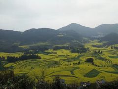 -牛街螺丝田