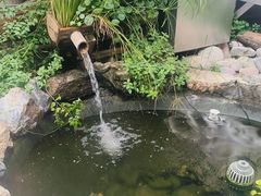 -陶野咖啡·面包披萨