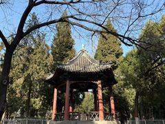 -保定市动物园
