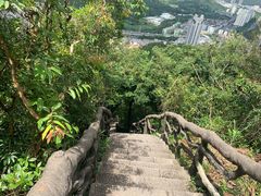 -梧桐山风景名胜区