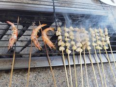 -吴淞炮台湾湿地森林公园烧烤区