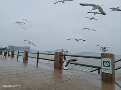 -八仙过海景区