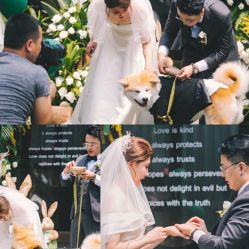 -美薇亭婚礼顾问