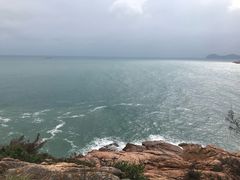 -广东惠东海龟国家级自然保护区