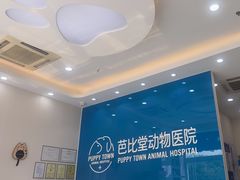 -芭比堂动物医院·CT·微创中心(新顺分院)