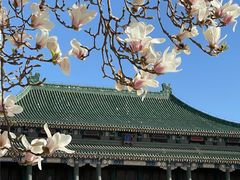 -国家图书馆·古籍馆