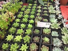-大润发(南湖店)
