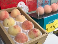 -老袁家蜜桃农场·阳山水蜜桃