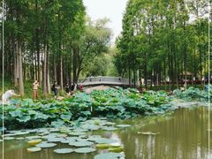 -大宁公园