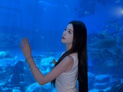 -南昌融创海世界