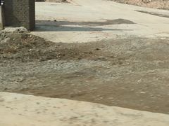 -敬亭山风景名胜区