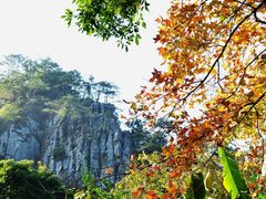 -广州市石门国家森林公园