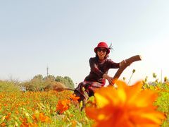 -花开海上生态园