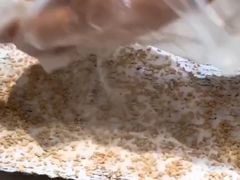 -水一方现烤鱿鱼丝大连特产(高新苏宁百货店)