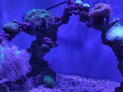 -上海海昌海洋公园