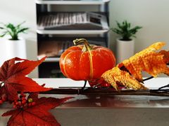 -约翰·菲茨杰拉德·肯尼迪国际机场