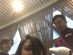 -威拉发艺