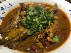 -百味地锅鸡(二店·财校分店)