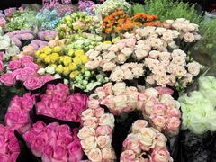 -双季花艺园艺市场(浦东店)