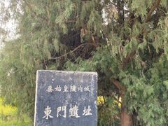 -秦始皇帝陵博物院-丽山园