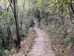 -老君山