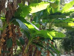 -四川大学(华西校区)