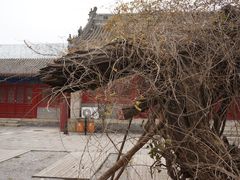 -大钟寺古钟博物馆