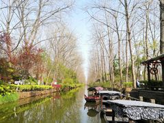 -合肥滨湖国家森林公园