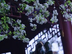 -中山公园