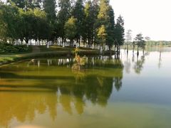 -松山湖南湖湾露营营地