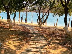 -凤岗南门山森林公园