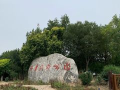 -西青郊野公园