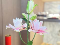 -添彩臻宴