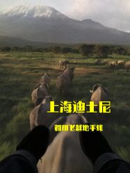 -翱翔飞越地平线