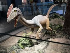 -辽宁古生物博物馆