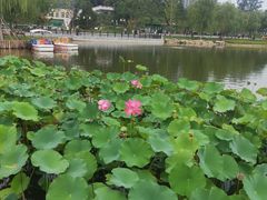 -西海子公园