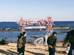 -北戴河碧螺塔海上酒吧公园