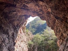 -大连天门山国家森林公园