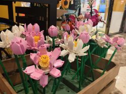 -乐高授权专卖店(济南万象城店)